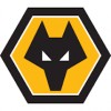 Strój Wolves dla dzieci